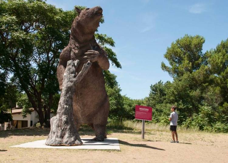 Pehuen Co invita a viajar en el tiempo: la ruta de la Megafauna que sorprende en Plaza Carrasco