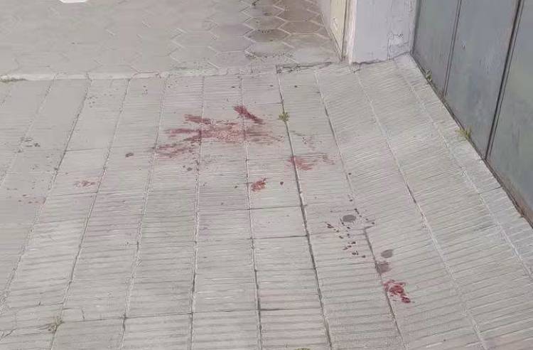 Vecinos y protectora reiteran reclamos por acumulación de animales e insalubridad