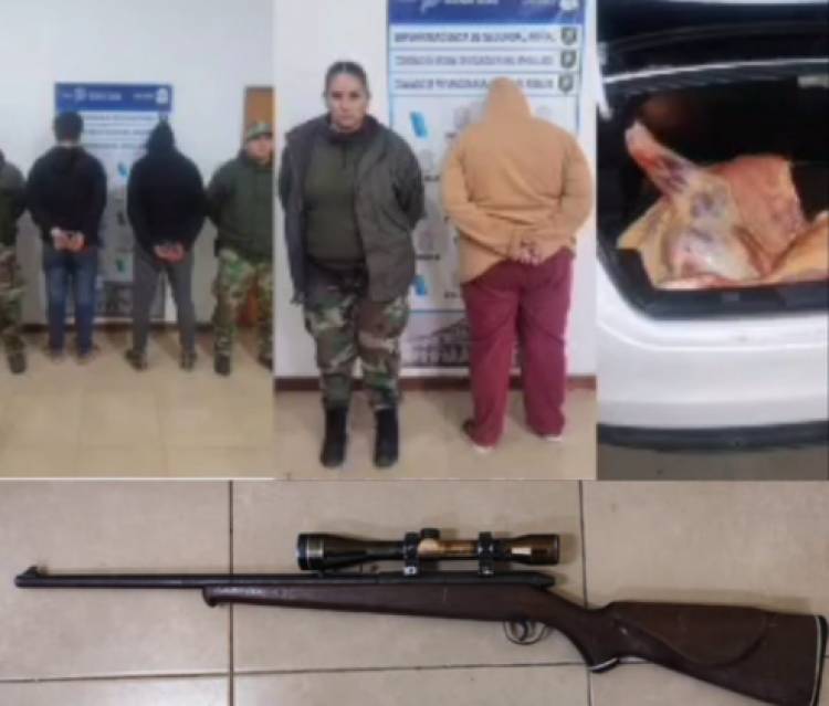 Robaron un novillo de 200kg y lo llevaban en el baúl de un auto